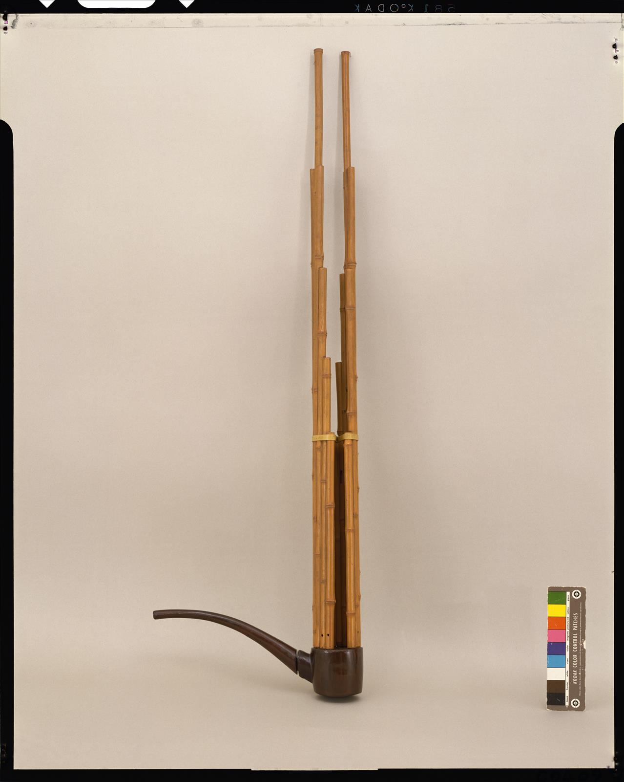 呉竹う - 正倉院