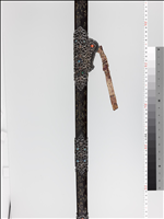 Kara-tachi| sword with gilded silver fittings and inlay