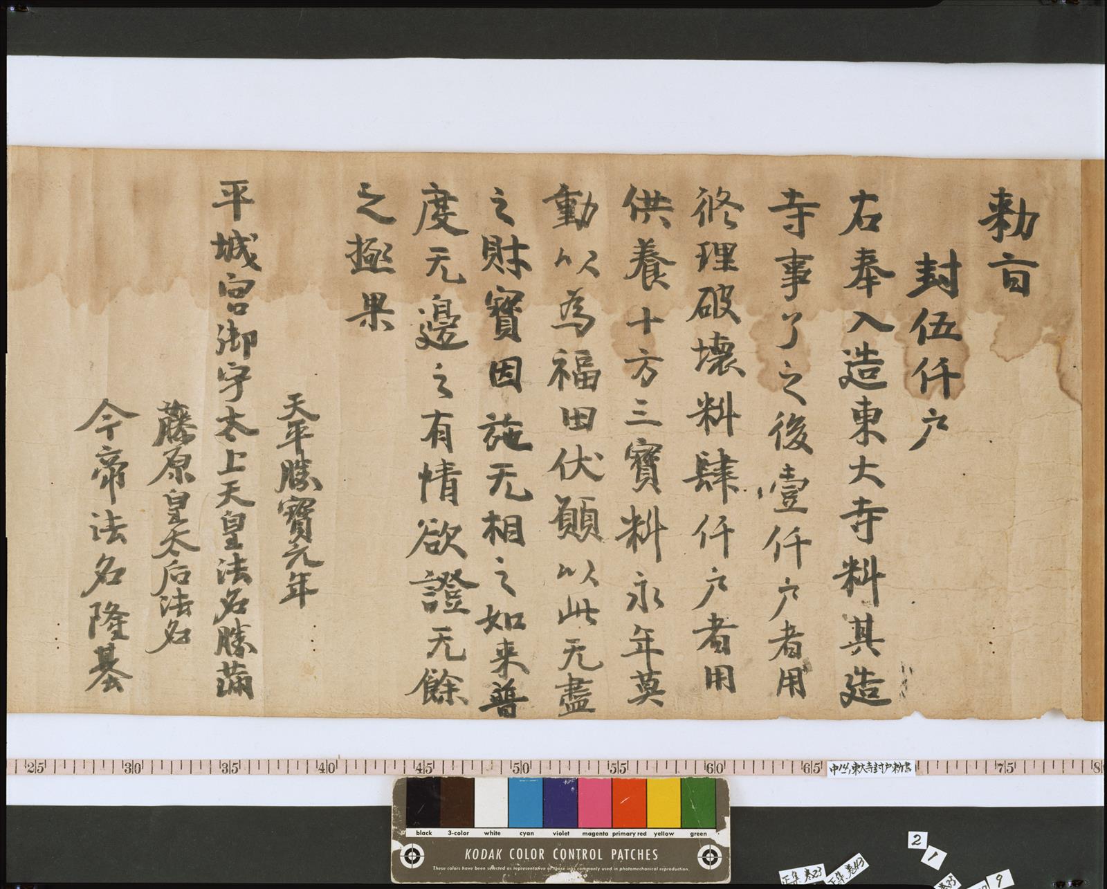茶道具 茶杓 銘「埋火」 東大寺別当 上野澄園師書付箱 C 5147