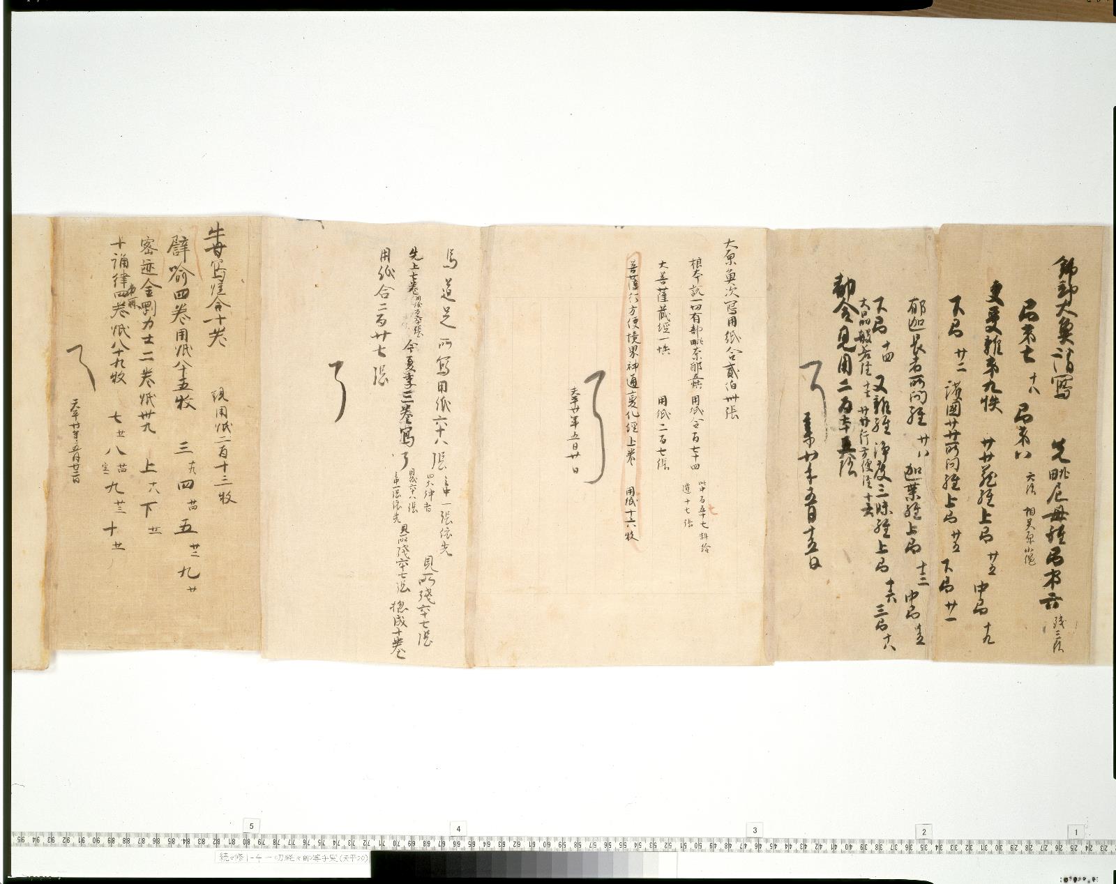 写経切れ‥鎌倉時代 ギャラリー一覧 - 書陵部所蔵資料目録・画像公開システム