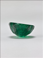 瑠璃 瑠璃兜錦 (2408-M02)：アストロフィツム属 ※実生、ダブルヘッド