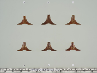 新羅琴 金薄輪草形鳳形 琴柱 - 正倉院